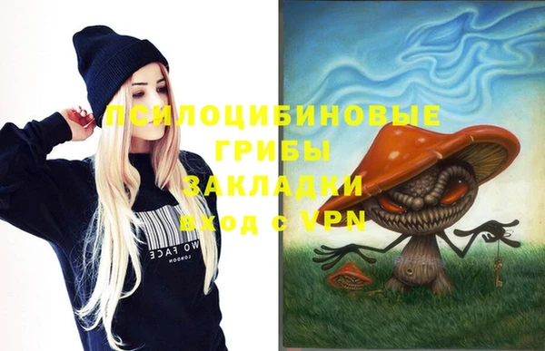 PSILOCYBIN Арсеньев